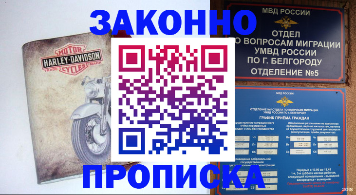 прописка для школы в Кеми
